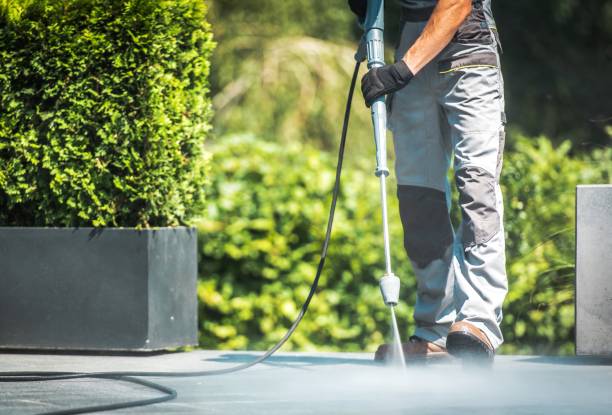 Professional Pressure Washing Services in Northeast Ithaca, NY