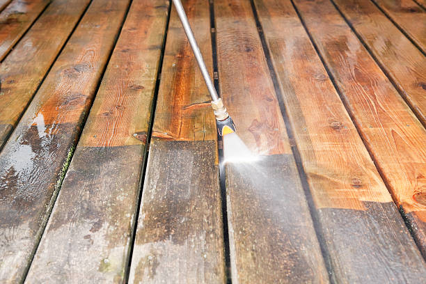 Best Roof Washing  in Northeast Ithaca, NY